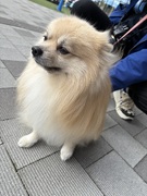 【スタッフブログ2735】本日のなかむら（その1）