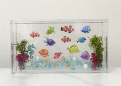 【洛西口】ハーバリウムで作るオリジナル水族館