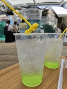 【スタッフブログ2633】本日のるいこ（その2）