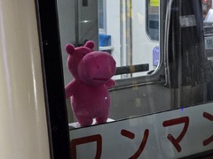 【スタッフブログ2556】本日のるいこ（その3）