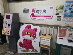 【スタッフブログ2556】本日のるいこ（その2）