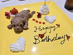 【スタッフブログ2598】本日のるいこ（その1）