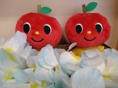 夏期休業のお知らせ（その1）