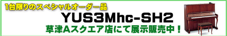 YUS3Mhc-SH2 草津Aスクエア店